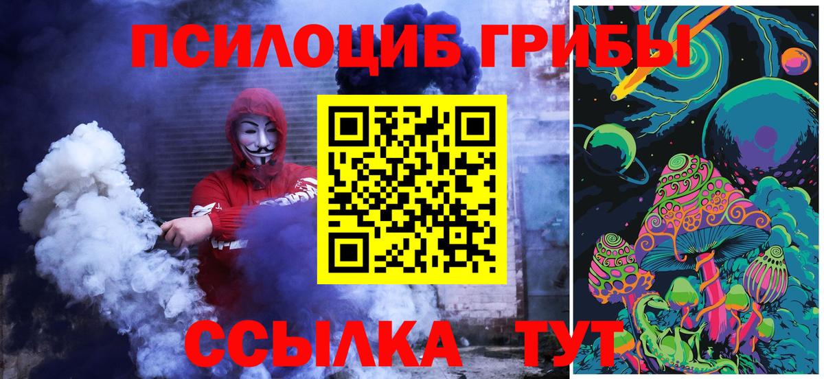 Железногорск  Галлюциногенные грибы Psilocybine cubensis  Галлюциногенные грибы MAGIC MUSHROOMS  Вход с VPN 